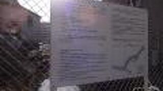 この川は、今後周辺を工事して、整備する計画があるようです。