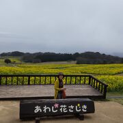 お弁当持ってゆっくりしたい人におすすめの公園