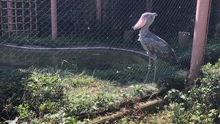 楽しい動物園☆