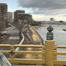 黄色が映えますね