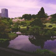 花見の時期の土日は予約が必要。