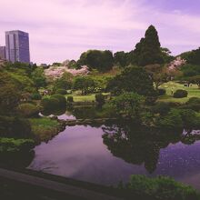 都心の真ん中にある広大な植物園。