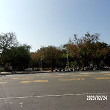 全体の様子です。