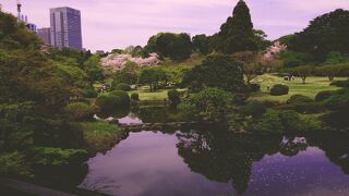 花見の時期の土日は予約が必要。