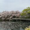 今泉名水桜公園