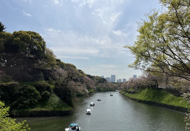 桜シーズン