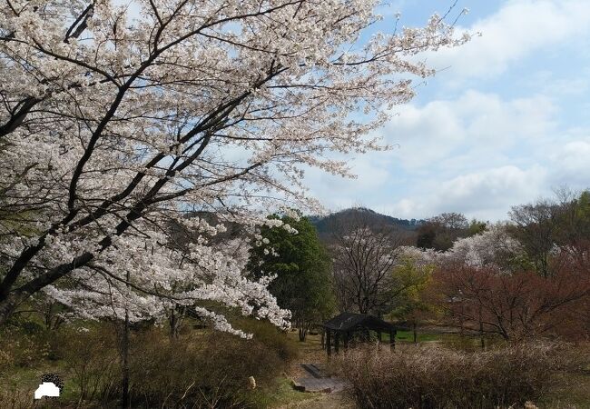 茶屋沼公園