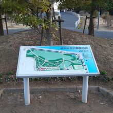 総合公園