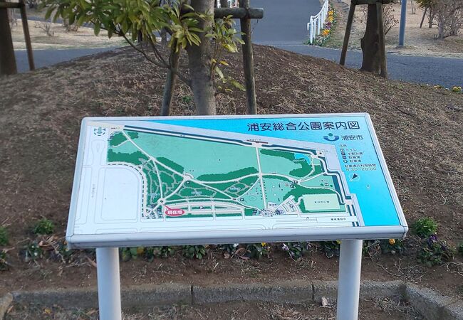 総合公園