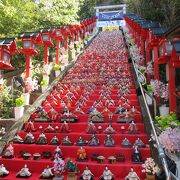 かつうらビッグひな祭り会場：オッと、声が出るほどの見事な遠見岬神社の雛段1800体の迫力はすごい。
