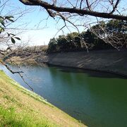 皇居ランの休憩スポットとしても （千鳥ケ淵緑道） 