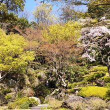 西宮市北山緑化植物園