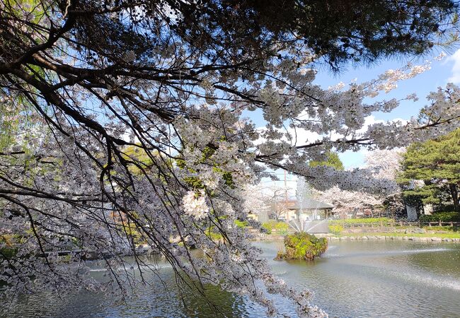 桜など