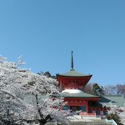 4月3日から3泊4日で長野県の桜巡り3件目