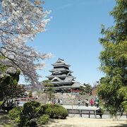 4月3日から3泊4日で長野県の桜巡り5件目(2日目)