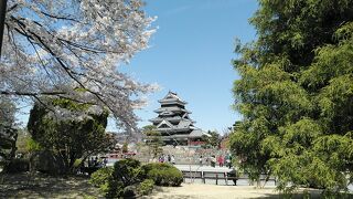 4月3日から3泊4日で長野県の桜巡り5件目(2日目)