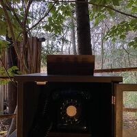 部屋のものも含め、館内の電話は黒電話。Z世代は使えるかな？