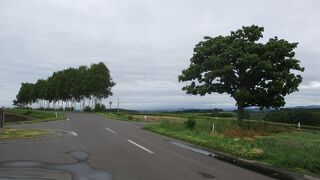 坂の街美瑛らしかった