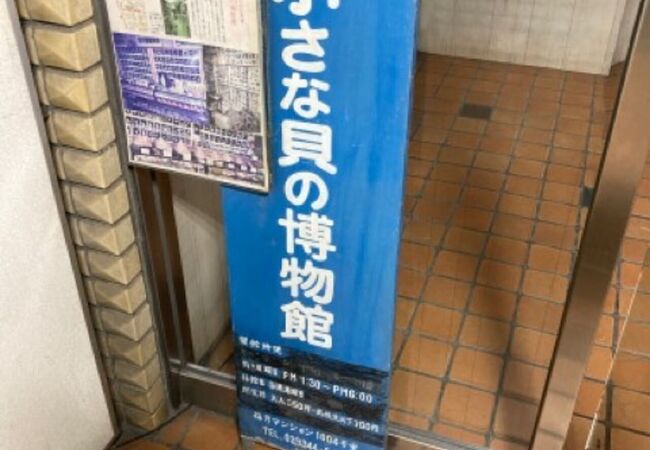 小さな貝の博物館