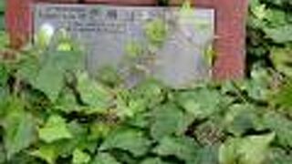 伊勢町通り沿いにあった公園で、ナディアパークの広場みたいです