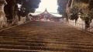 鳥居を潜り階段