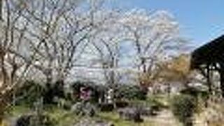 桜の咲くのどかな場所