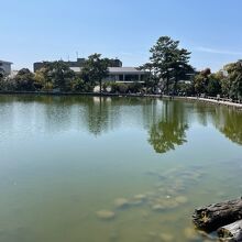 小さな池ですが、名池です。