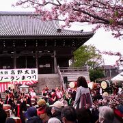 桜咲く境内で「高野太鼓＆御瀧ソーランまつり」で賑わいました