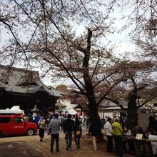 竹とんぼ作りや警察・消防団のブースなどもあり