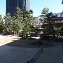 近松寺庭園
