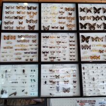 甲山自然学習館 