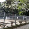 鹿島神宮の神の使いです