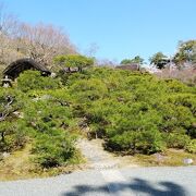 山の地形を生かした回遊式庭園は絶景