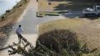 秋晴れに鴨川を訪れて散策