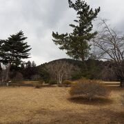 毛越寺の横の敷地