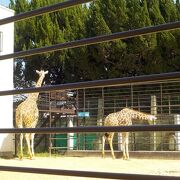 姫路市立動物園