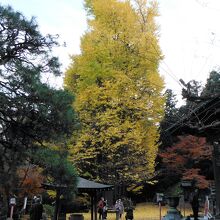 岩殿観音正法寺