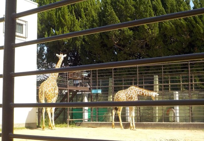 姫路市立動物園