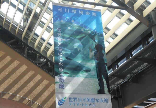 世界最大級の淡水魚の水族館