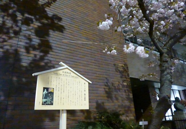 夜桜が美しかったです