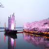 ぜひ桜の季節に夜桜を