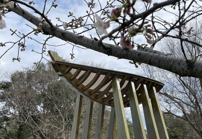 福岡湾を望む桜の名所