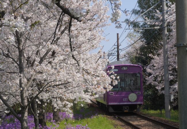 車窓の景色を楽しむ方がここのよさが素直に分かるような気がします