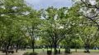 旧福岡県庁跡地のセントラルパーク