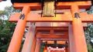 稲荷山の頂上まで続く千本鳥居