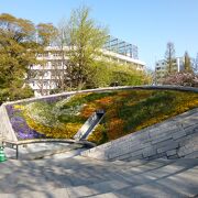 彩り豊かで美しい光景