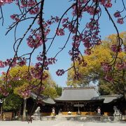 兵庫県姫路護国神社