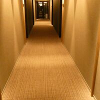 客室へ向かう通路はとても落ち着いたきれいな感じ