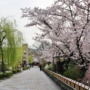 白川の清流に沿った風情ある街並み