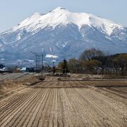 津軽富士とりんご畑